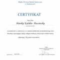 Powiększ obraz: certificate 25