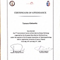 Powiększ obraz: certificate 6