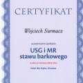 Powiększ obraz: certificate 13
