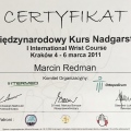Powiększ obraz: certificate 8