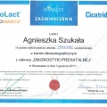 Powiększ obraz: certificate 4