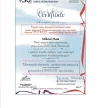 Powiększ obraz: certificate 4