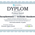 Powiększ obraz: certificate 6