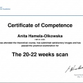 Powiększ obraz: certificate 2