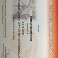 Powiększ obraz: certificate 25