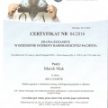 Powiększ obraz: certificate 5
