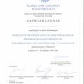 Powiększ obraz: certificate 49