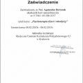 Powiększ obraz: certificate 8