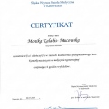 Powiększ obraz: certificate 15