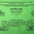 Powiększ obraz: certificate 13