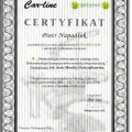 Powiększ obraz: certificate 9