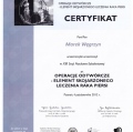 Powiększ obraz: certificate 11