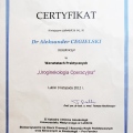 Powiększ obraz: certificate 11
