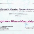 Powiększ obraz: certificate 3