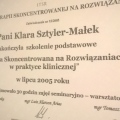 Powiększ obraz: certificate 20