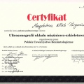 Powiększ obraz: certificate 3