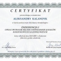 Powiększ obraz: certificate 6