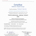 Powiększ obraz: certificate 11