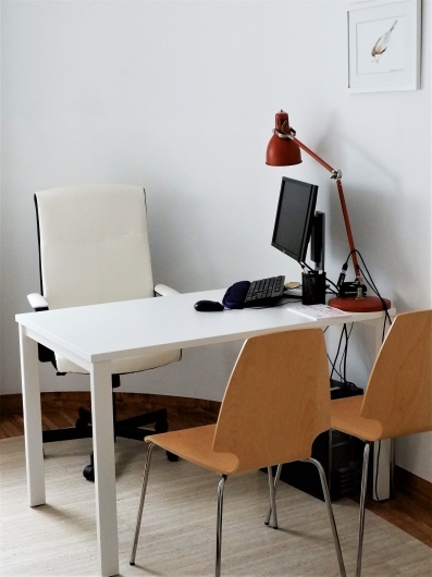 Oktawia Braun - Muszyńska-0