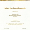 Powiększ obraz: certificate 33