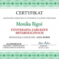 Powiększ obraz: certificate 13