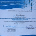 Powiększ obraz: certificate 1