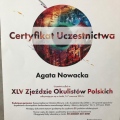 Powiększ obraz: certificate 5