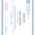 Powiększ obraz: certificate 1