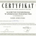 Powiększ obraz: certificate 4