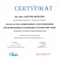 Powiększ obraz: certificate 5