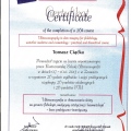 Powiększ obraz: certificate 36
