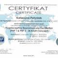 Powiększ obraz: certificate 3