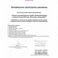 Powiększ obraz: certificate 6
