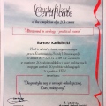 Powiększ obraz: certificate 3