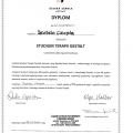 Powiększ obraz: certificate 1