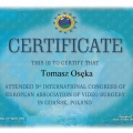 Powiększ obraz: certificate 7