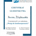 Powiększ obraz: certificate 2