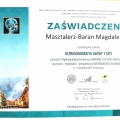 Powiększ obraz: certificate 10