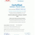 Powiększ obraz: certificate 3