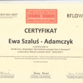 Powiększ obraz: certificate 1
