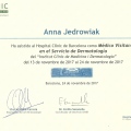 Powiększ obraz: certificate 8