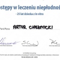 Powiększ obraz: certificate 24