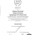 Powiększ obraz: certificate 9