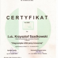 Powiększ obraz: certificate 4