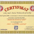 Powiększ obraz: certificate 25