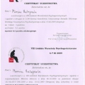 Powiększ obraz: certificate 2