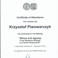 Powiększ obraz: certificate 5