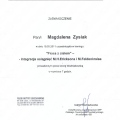Powiększ obraz: certificate 6