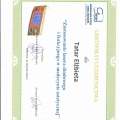 Powiększ obraz: certificate 28