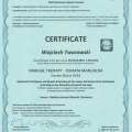 Powiększ obraz: certificate 11